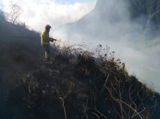 Incendio consumió 5 hectáreas de bosque en Molleturo